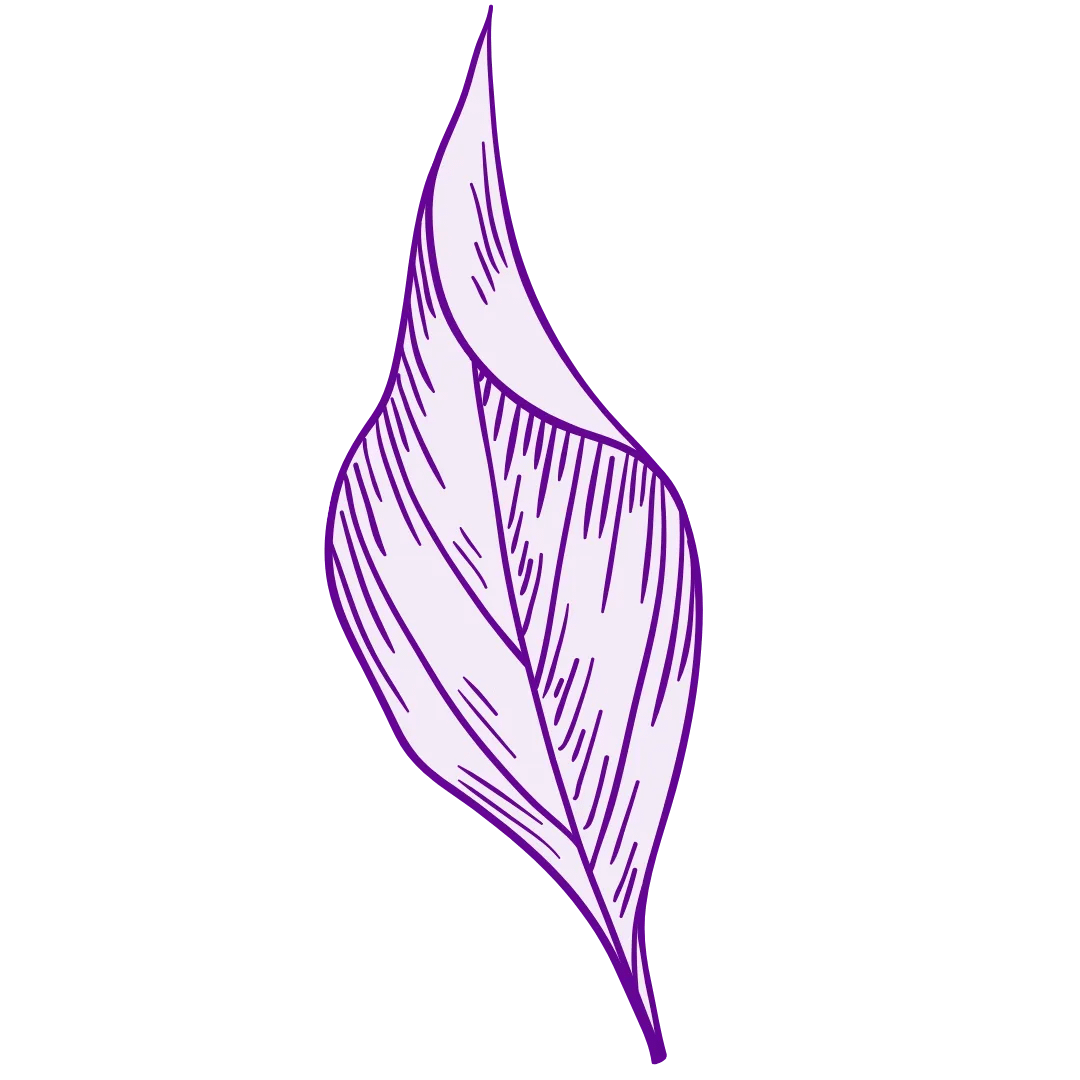 The Midlife Wisdom Community