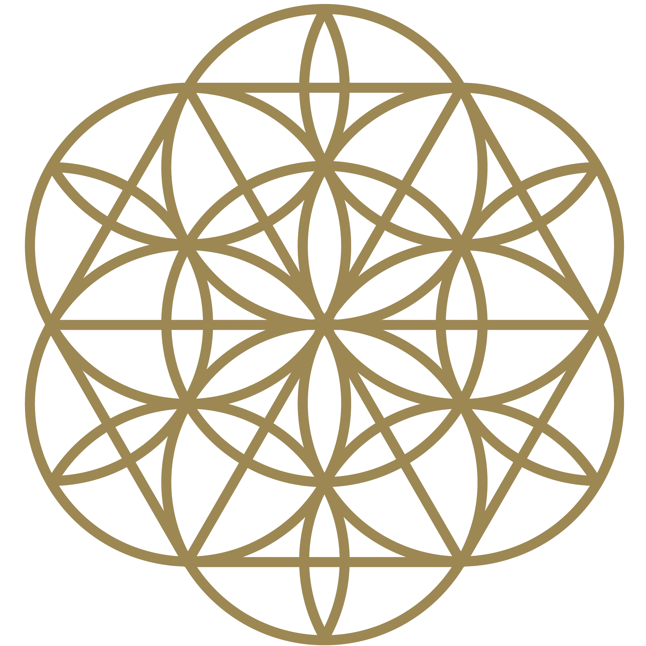 Alchemy of Self 1.0 logo