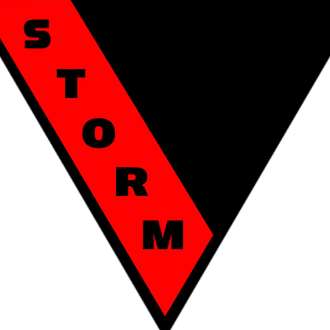 STORM TEAM