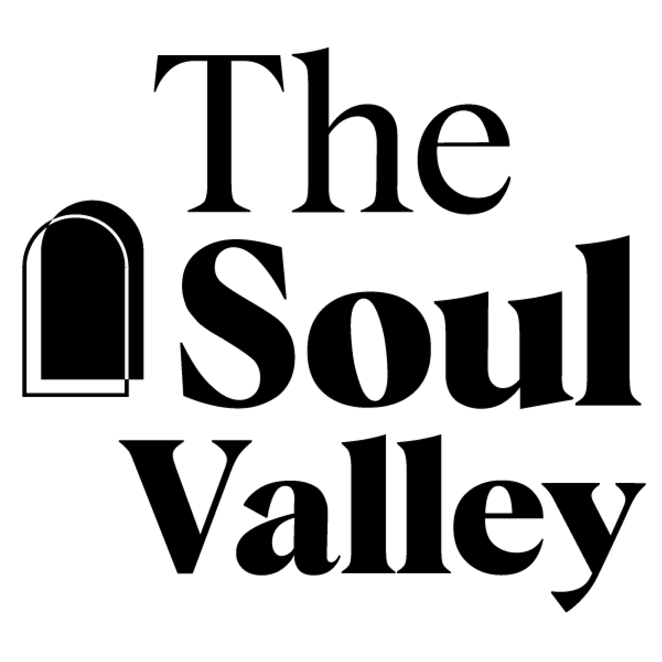 Comunidad TSV logo
