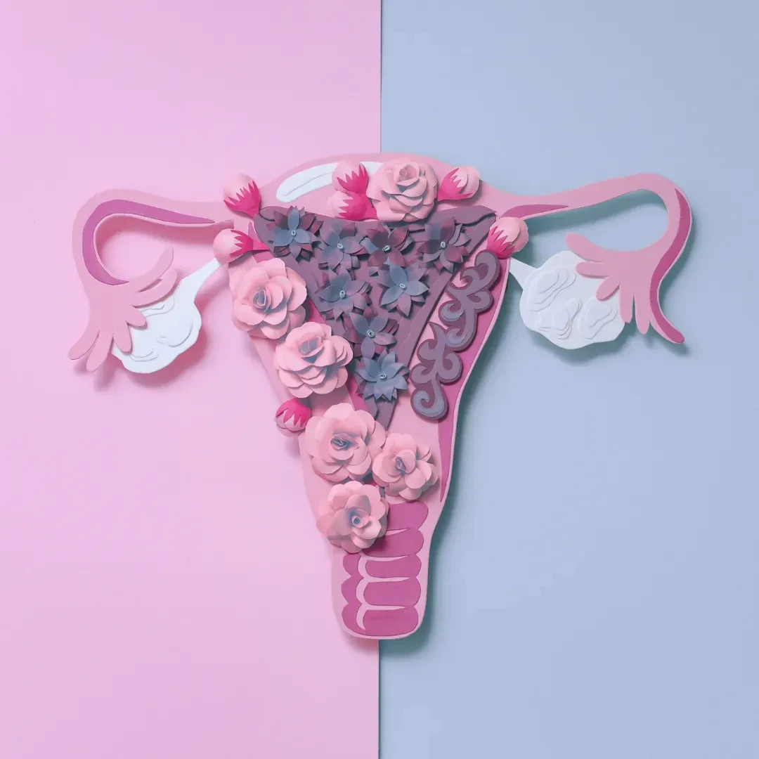 Hormonal Health Community logo