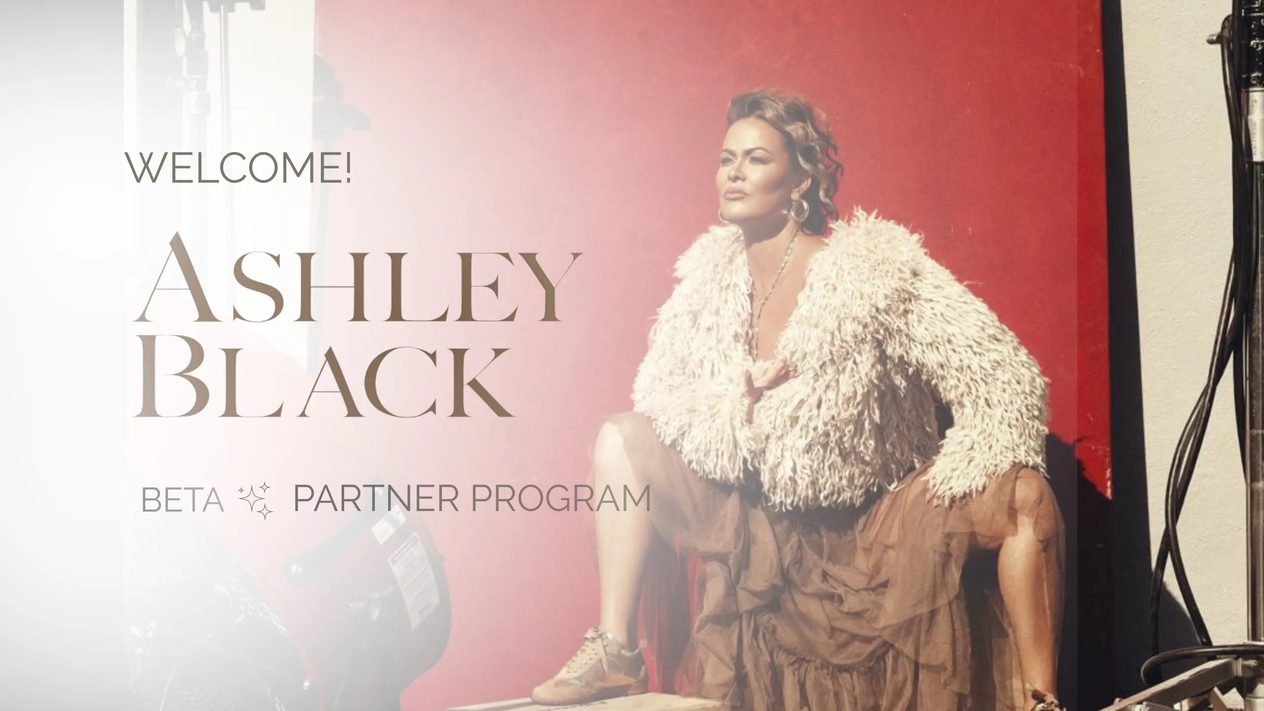Ashley Black INC