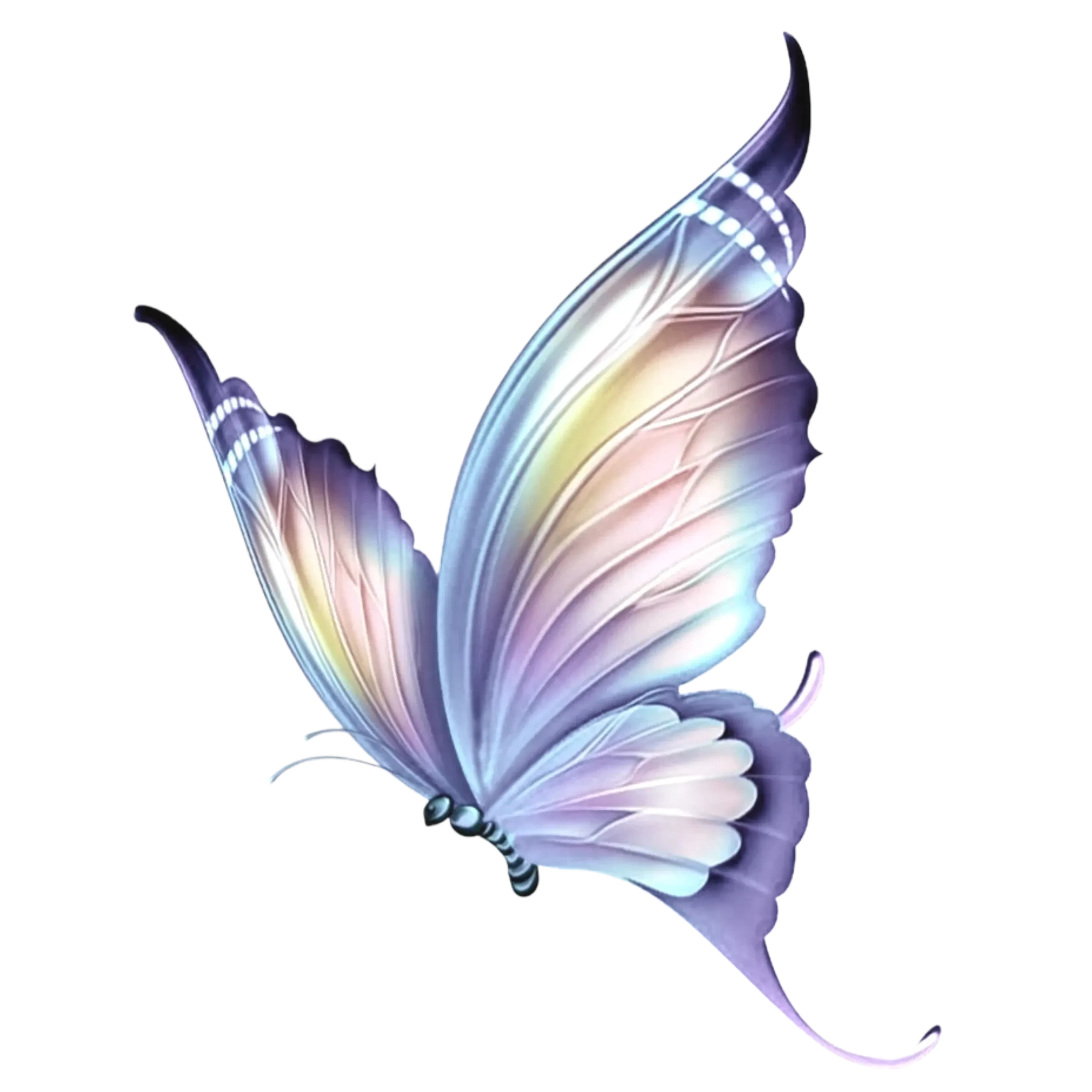 Elke Roels | Holistic Life logo