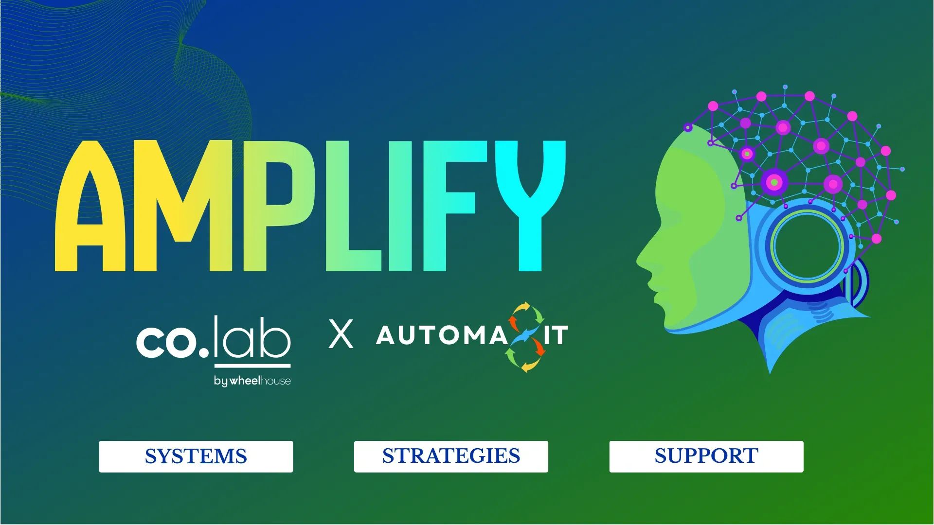 The Amplify Program