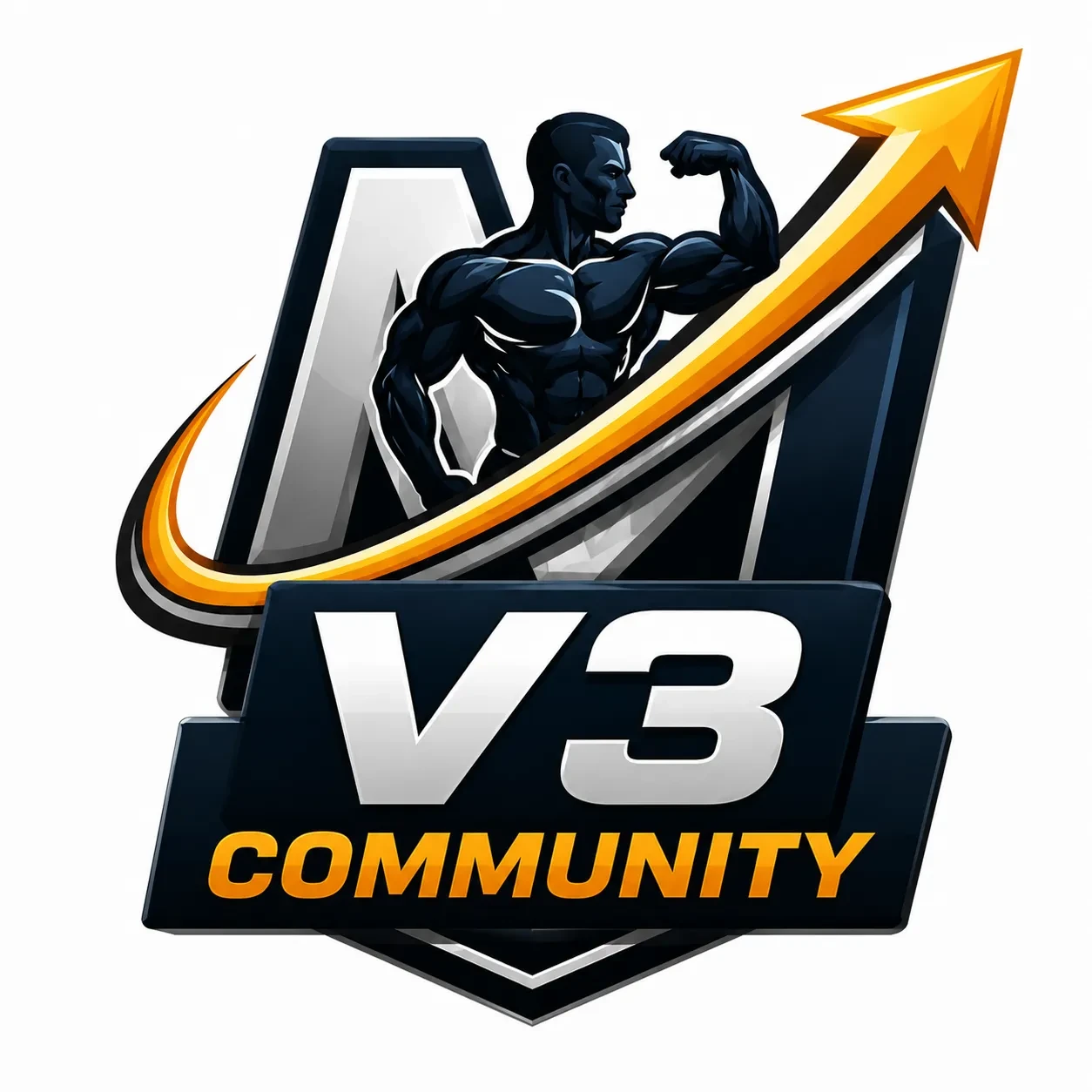 V3 Community logo