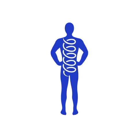 Body Spring by Dr. Meena PT logo