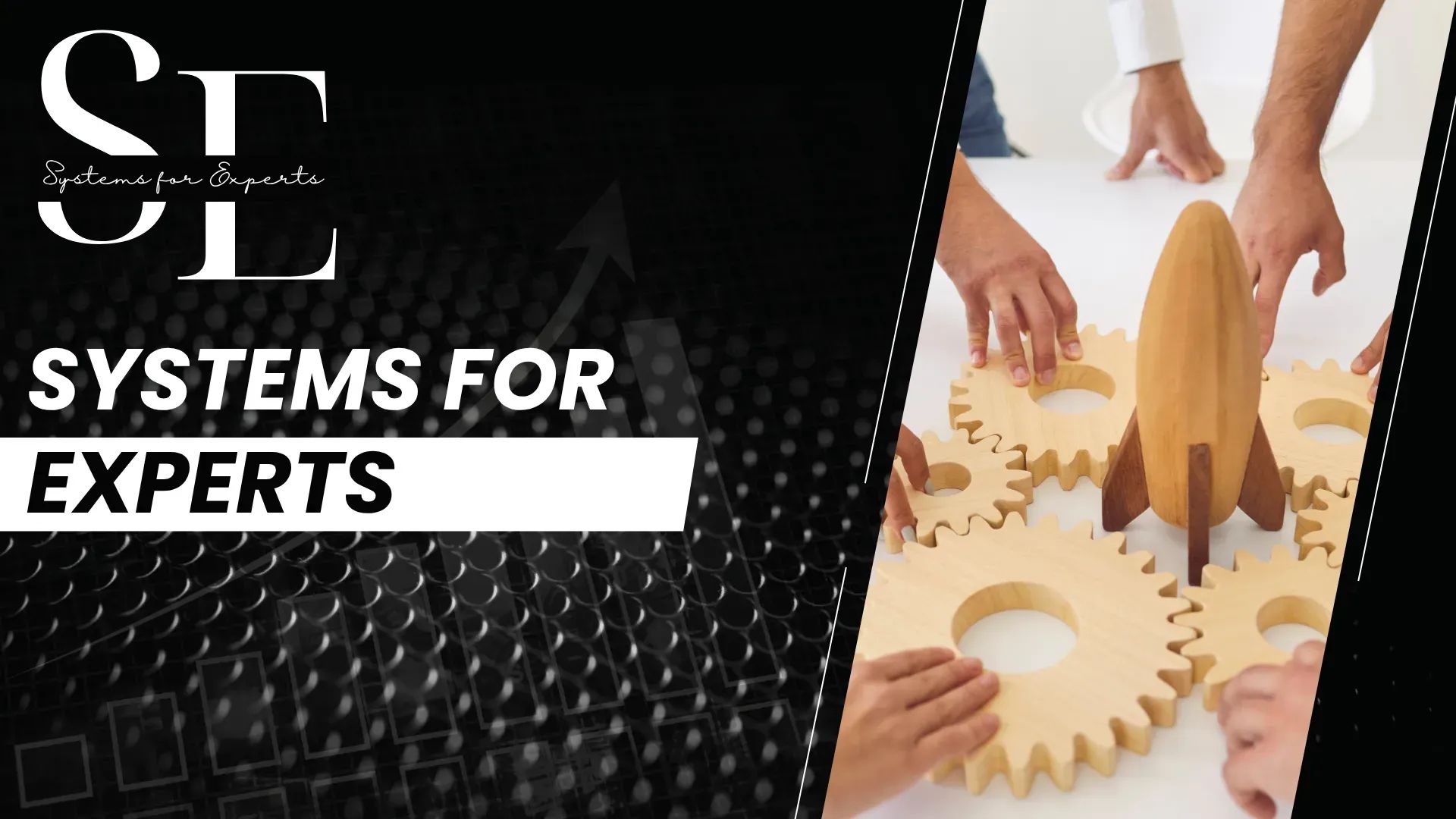 Systems for Experts banner