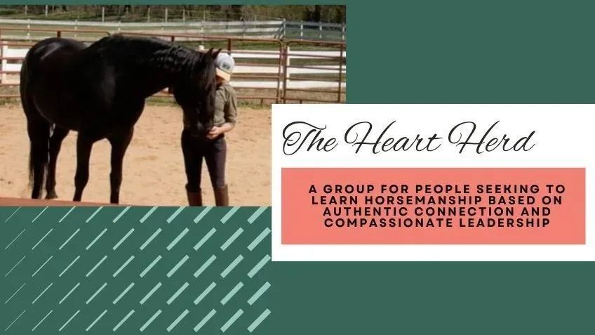 The Heart Herd
