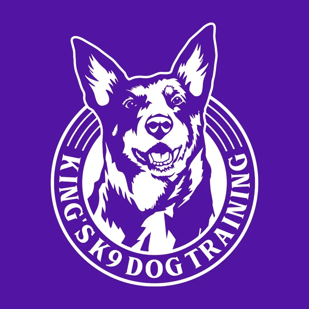 Better Dog Blueprint Community logo