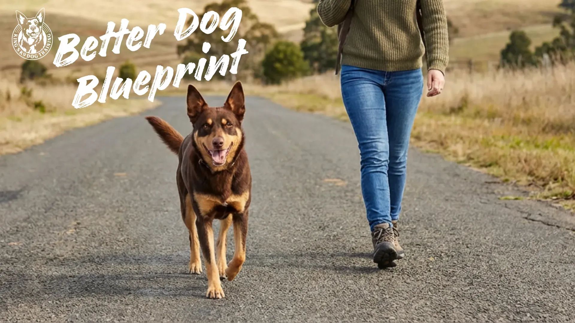 Better Dog Blueprint Community