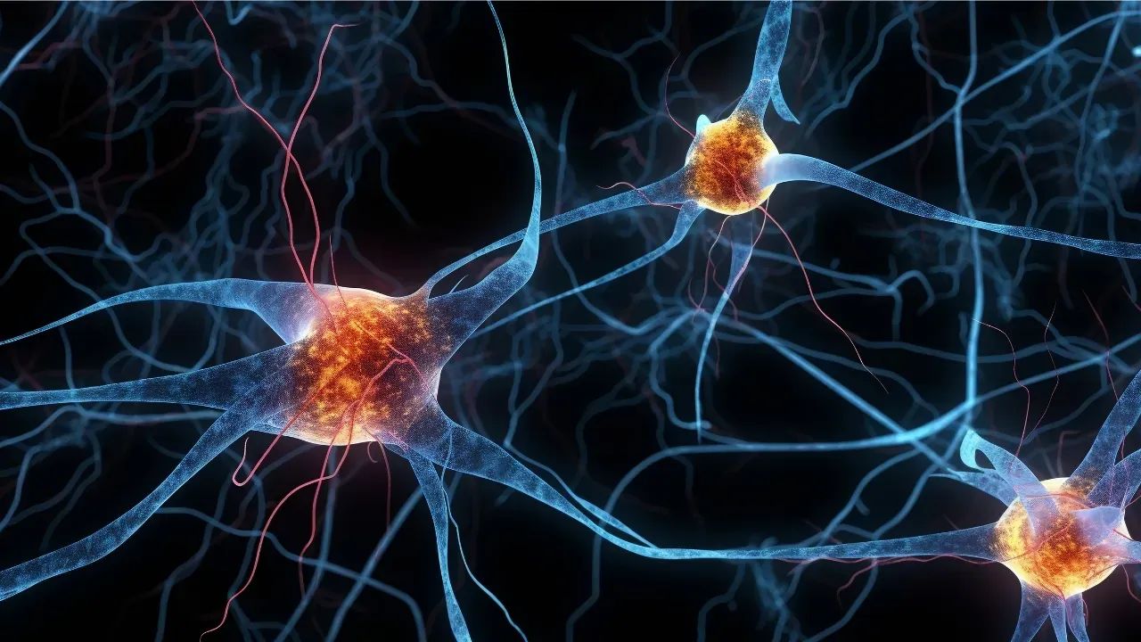 NeuroNet- Membresia Premium