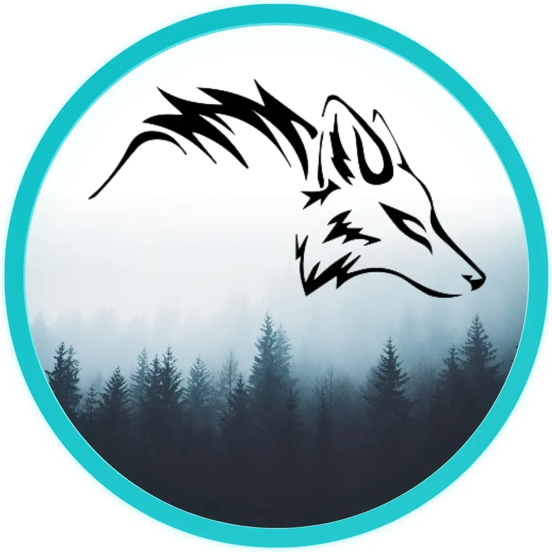 Zona Endurance logo