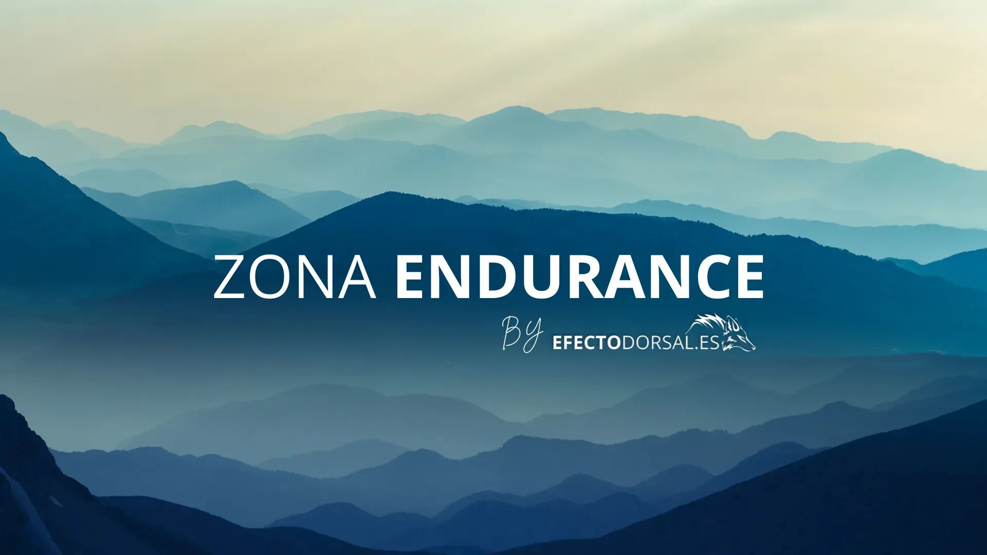 Zona Endurance