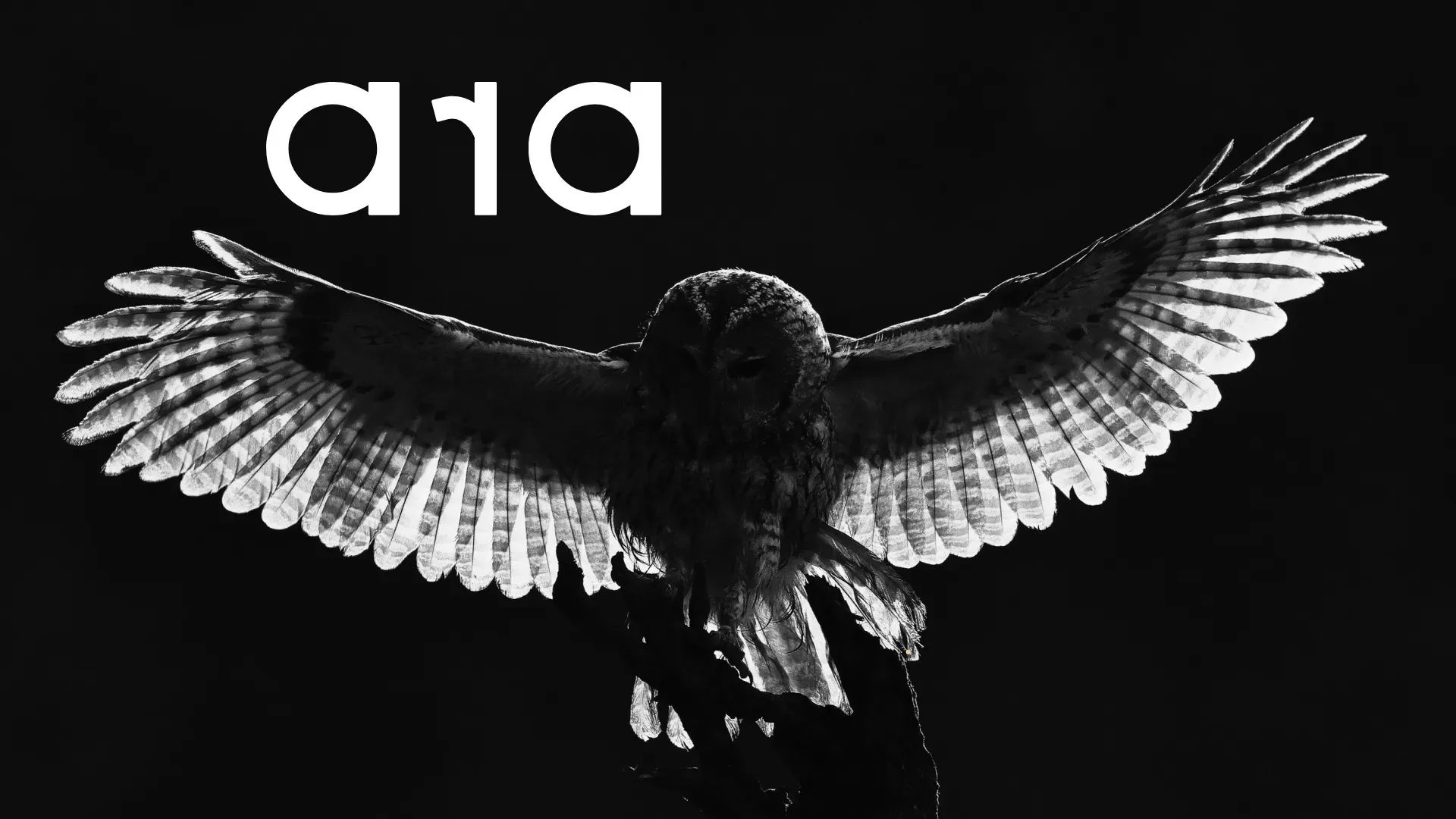 ara NEST