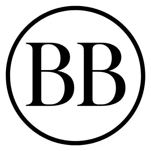 The Bestseller Blueprint logo