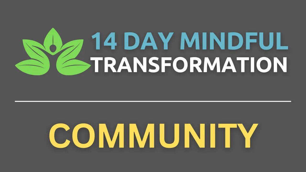 MyMindfulTransformation