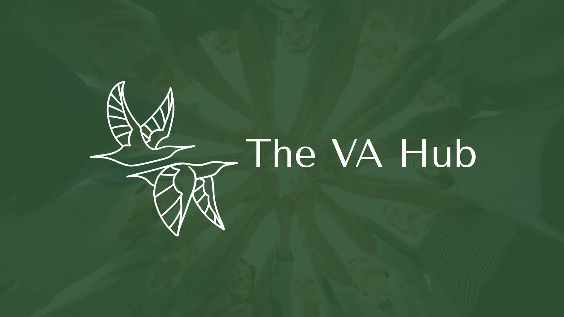The VA Hub