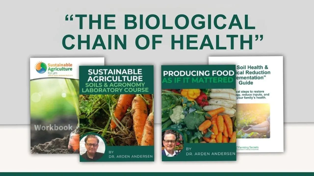The Biological Chain Of Health