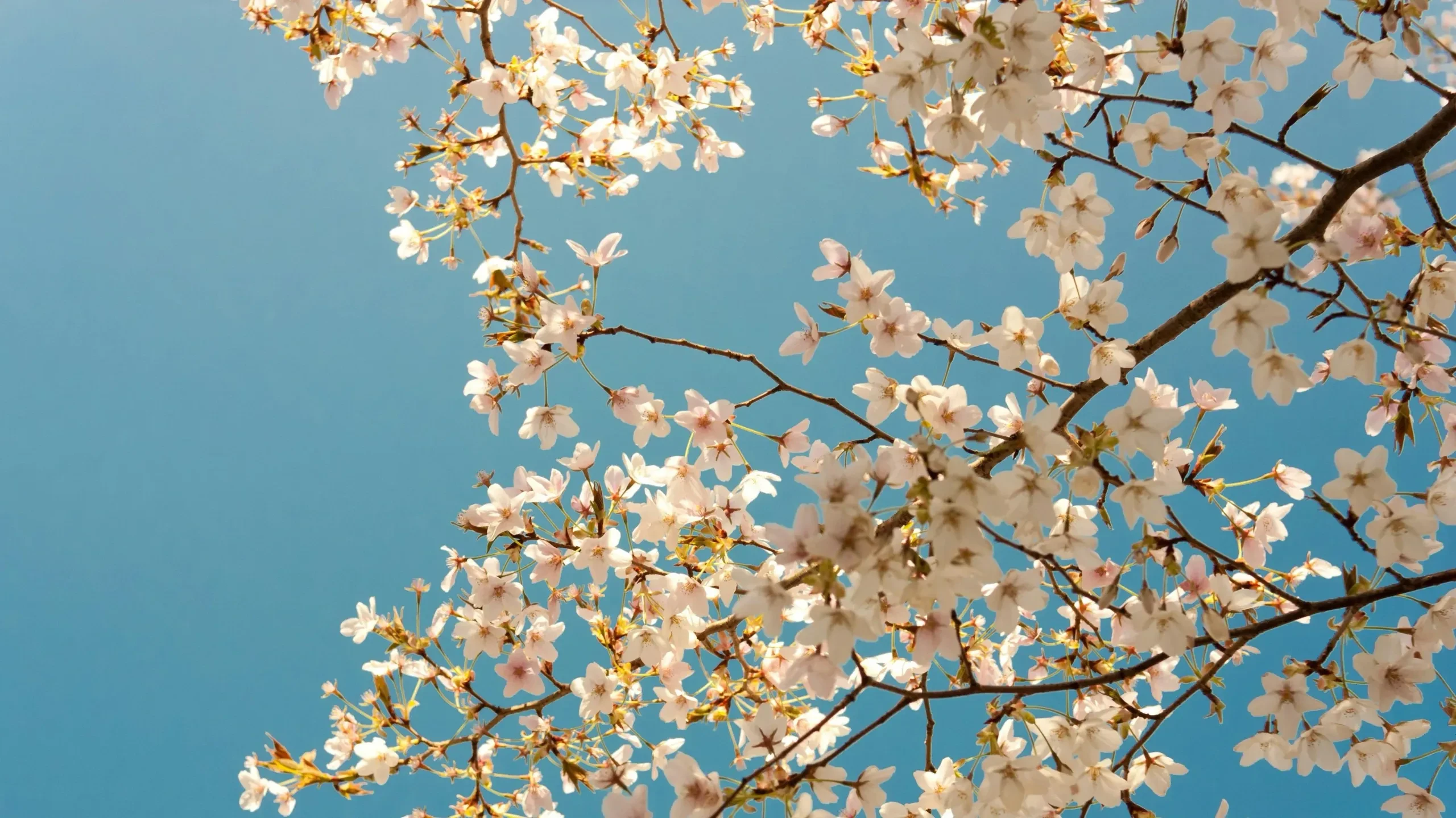 Slide 1 of 2