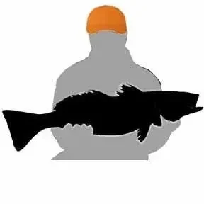 Big Trout Coaching logo