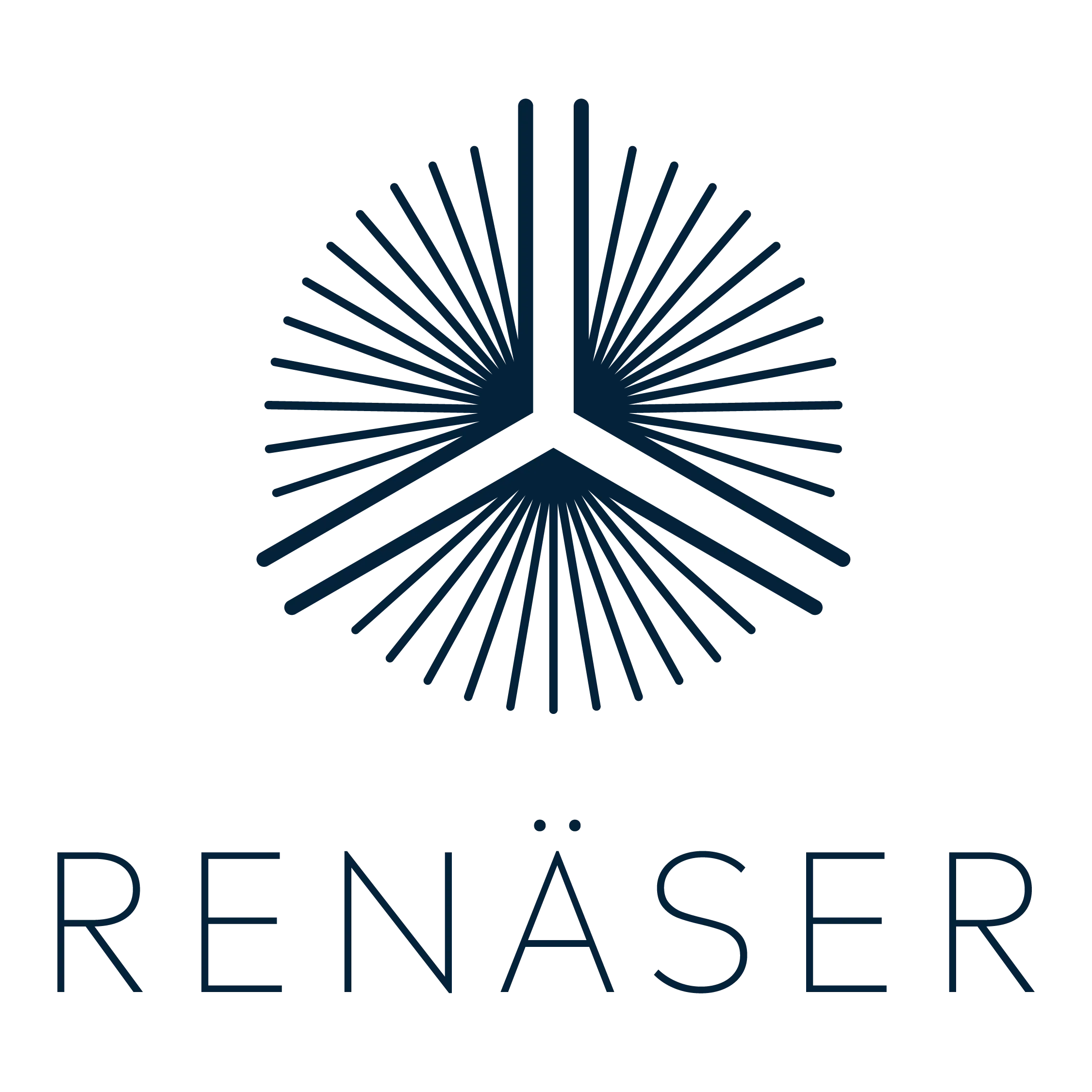 Comunidad Renäser - Guerreros de Luz