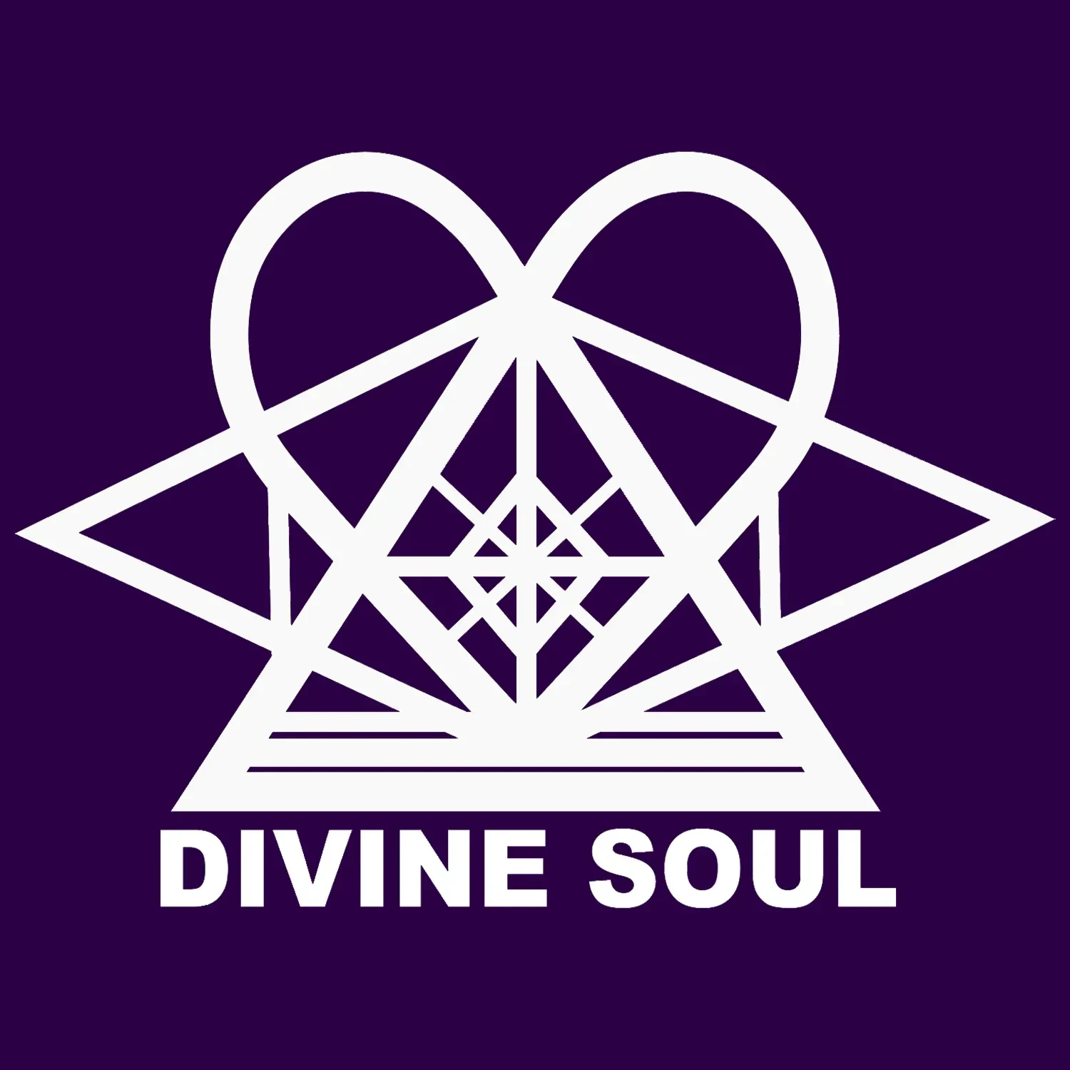 Divine Soul Lifestyle Academy logo