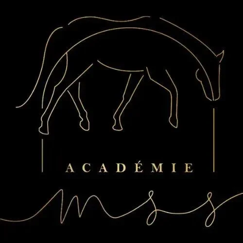 Académie MSS logo