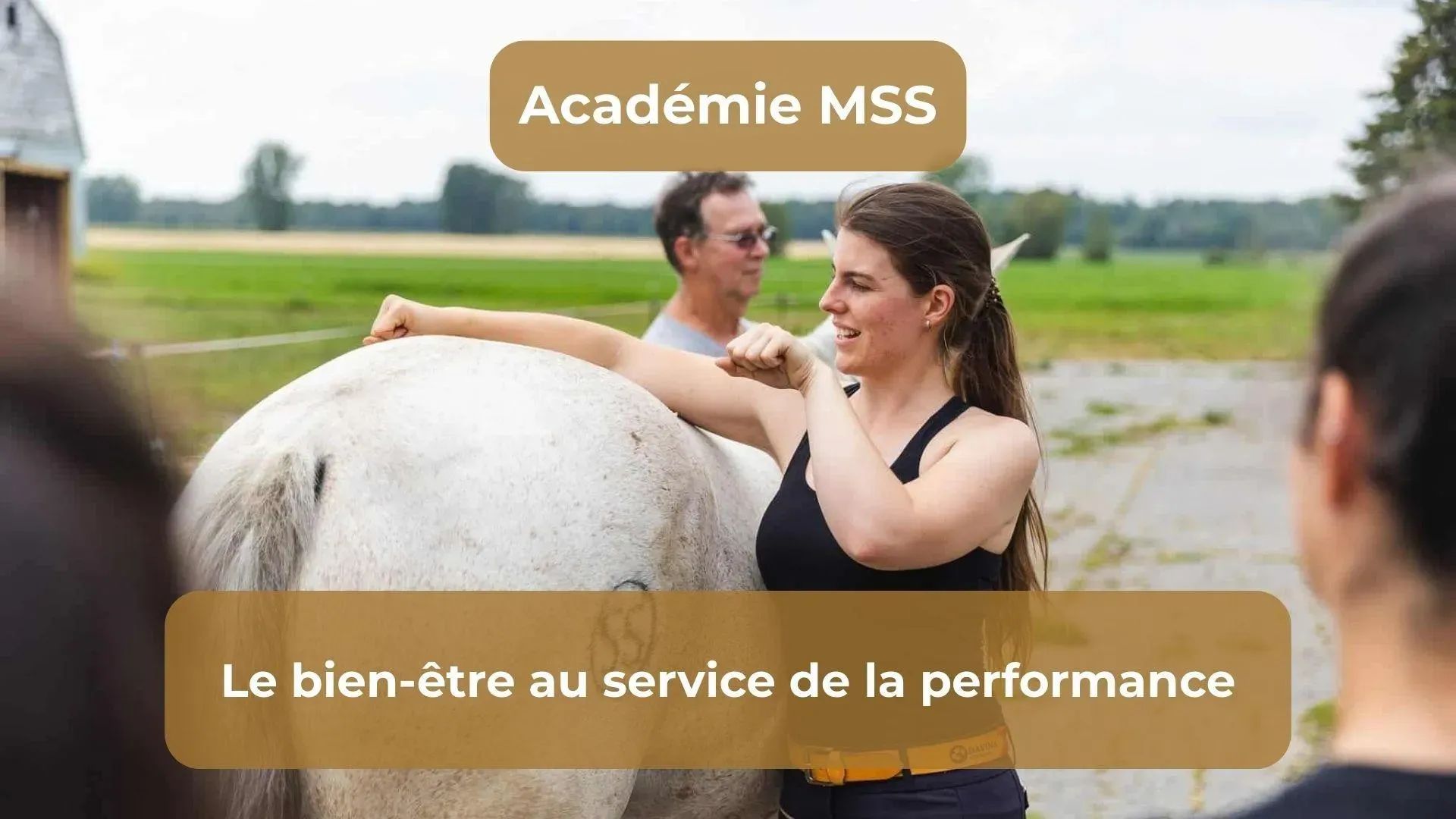 Académie MSS