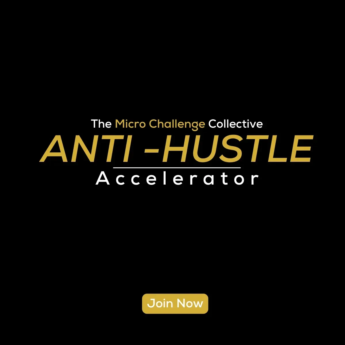 The Anti-Hustle Accelerator  logo