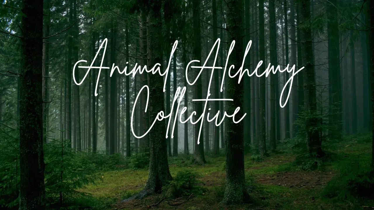 Animal Alchemy Collective