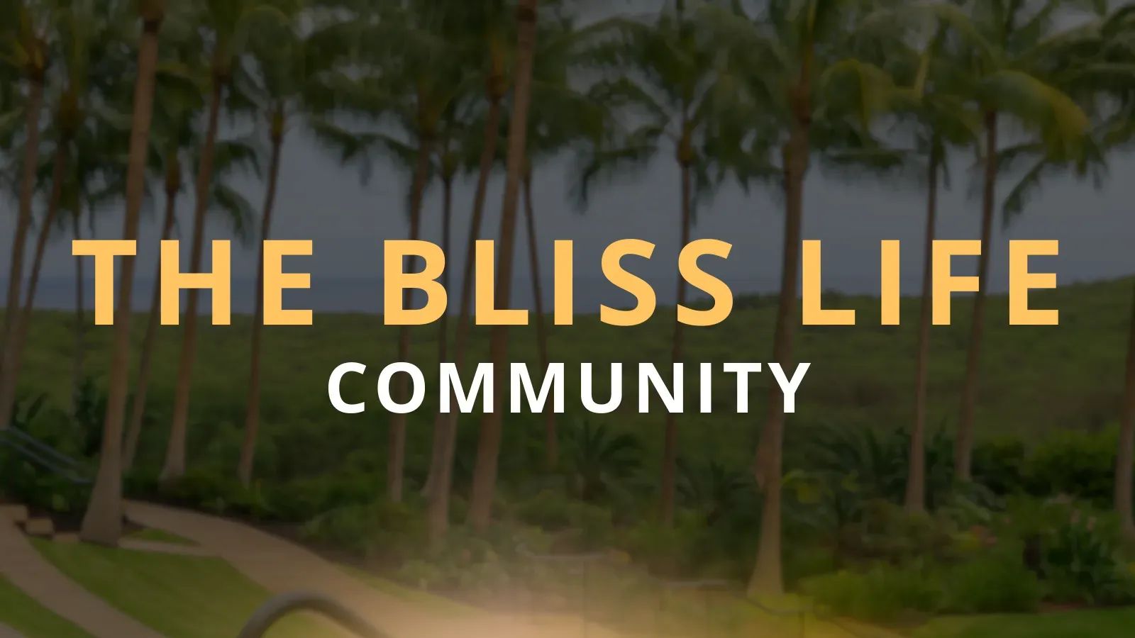 The Bliss Life