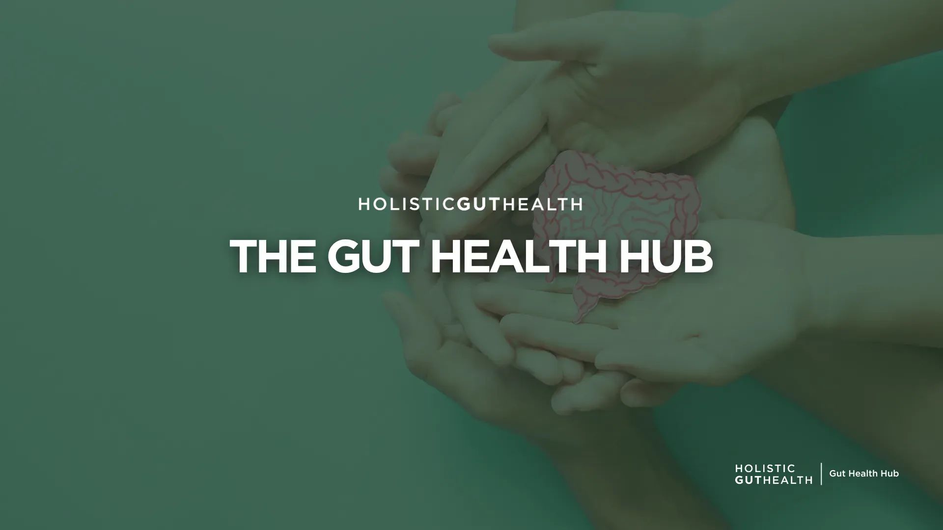 The Gut Health Hub