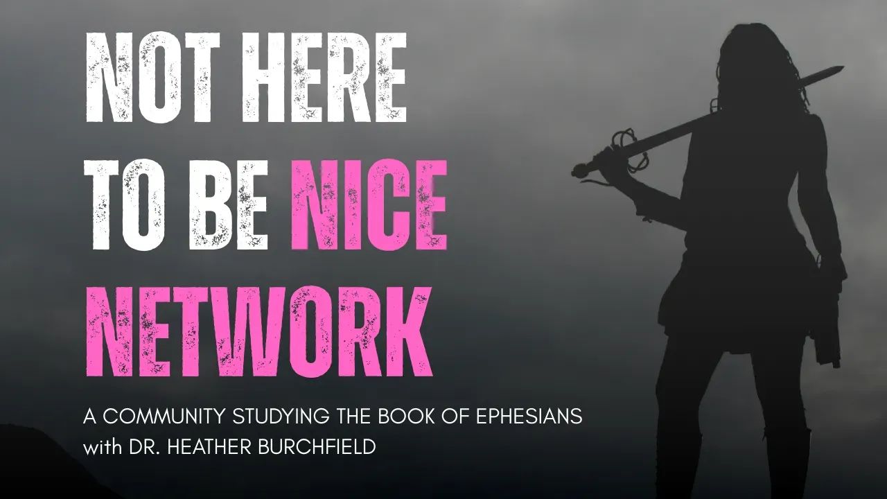 Not Here To Be Nice Network