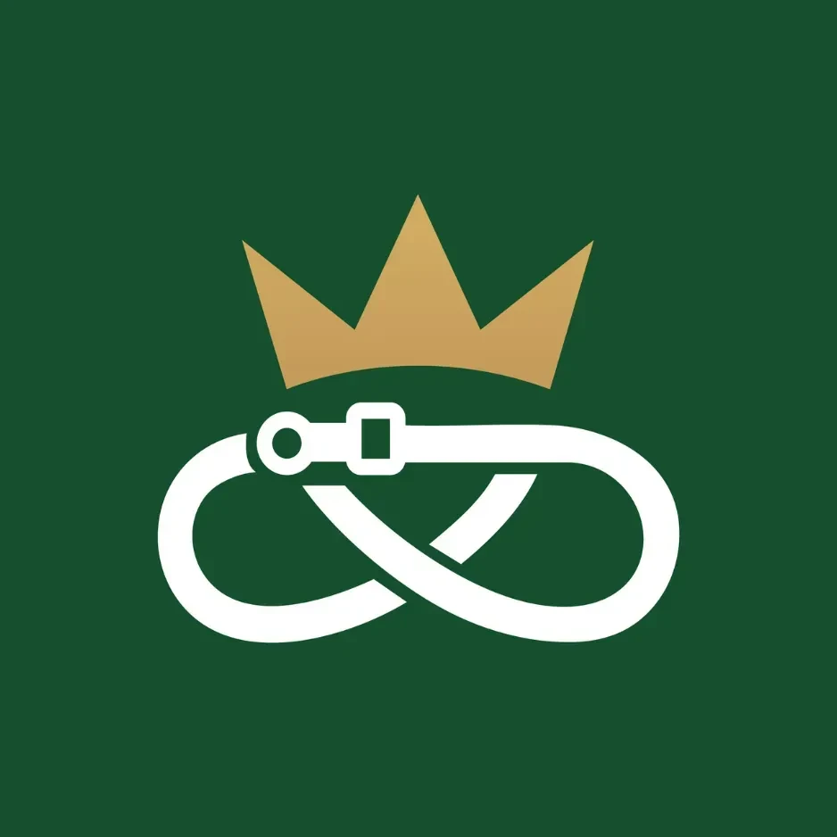The K.I.N.G.D.O.M. logo