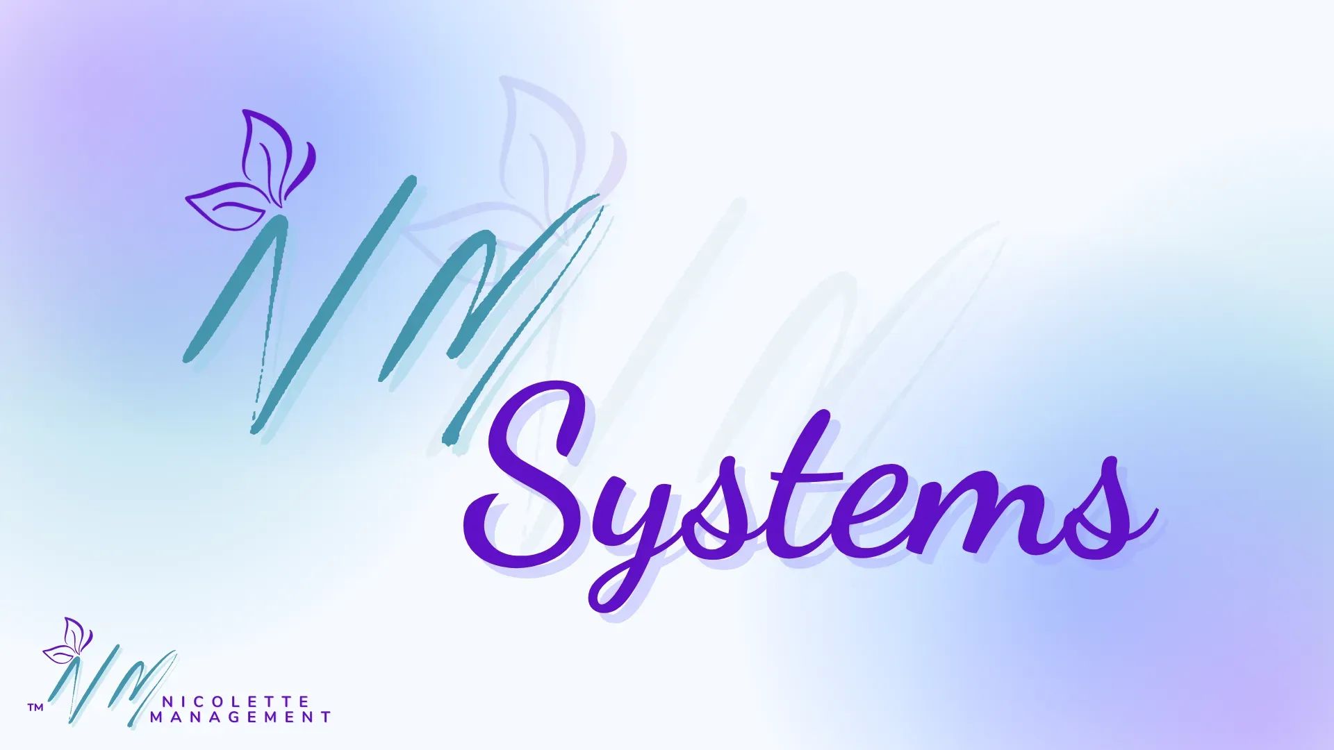 NM Systems banner