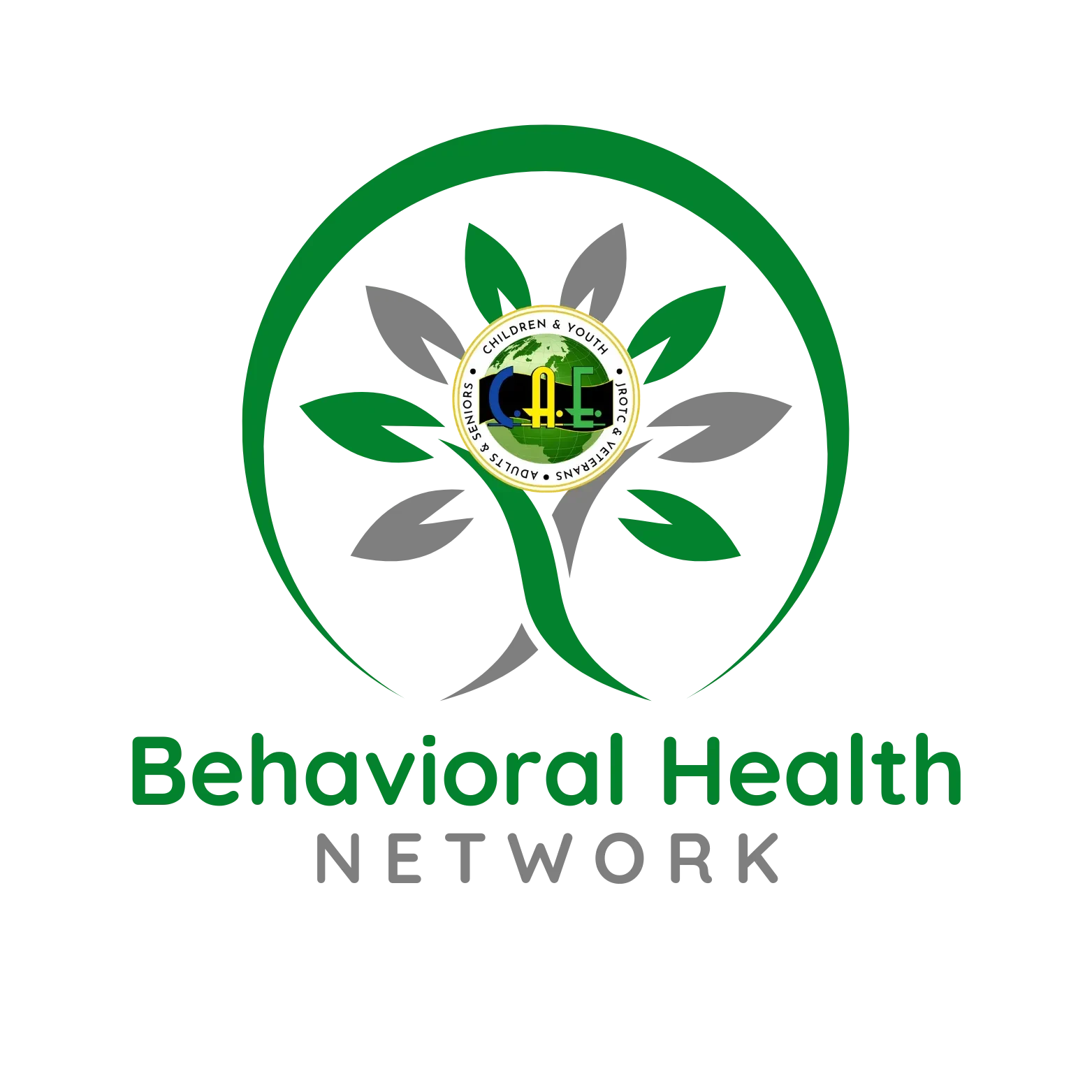 Behavioral Health Network logo