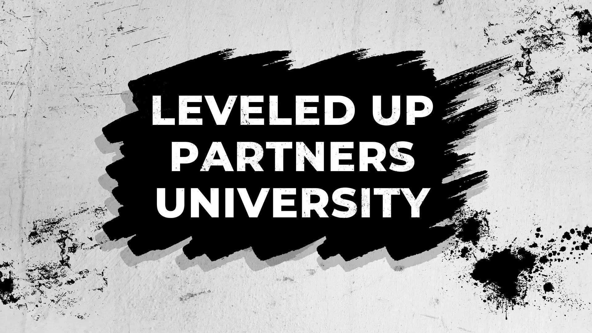 Leveled Up Partners University