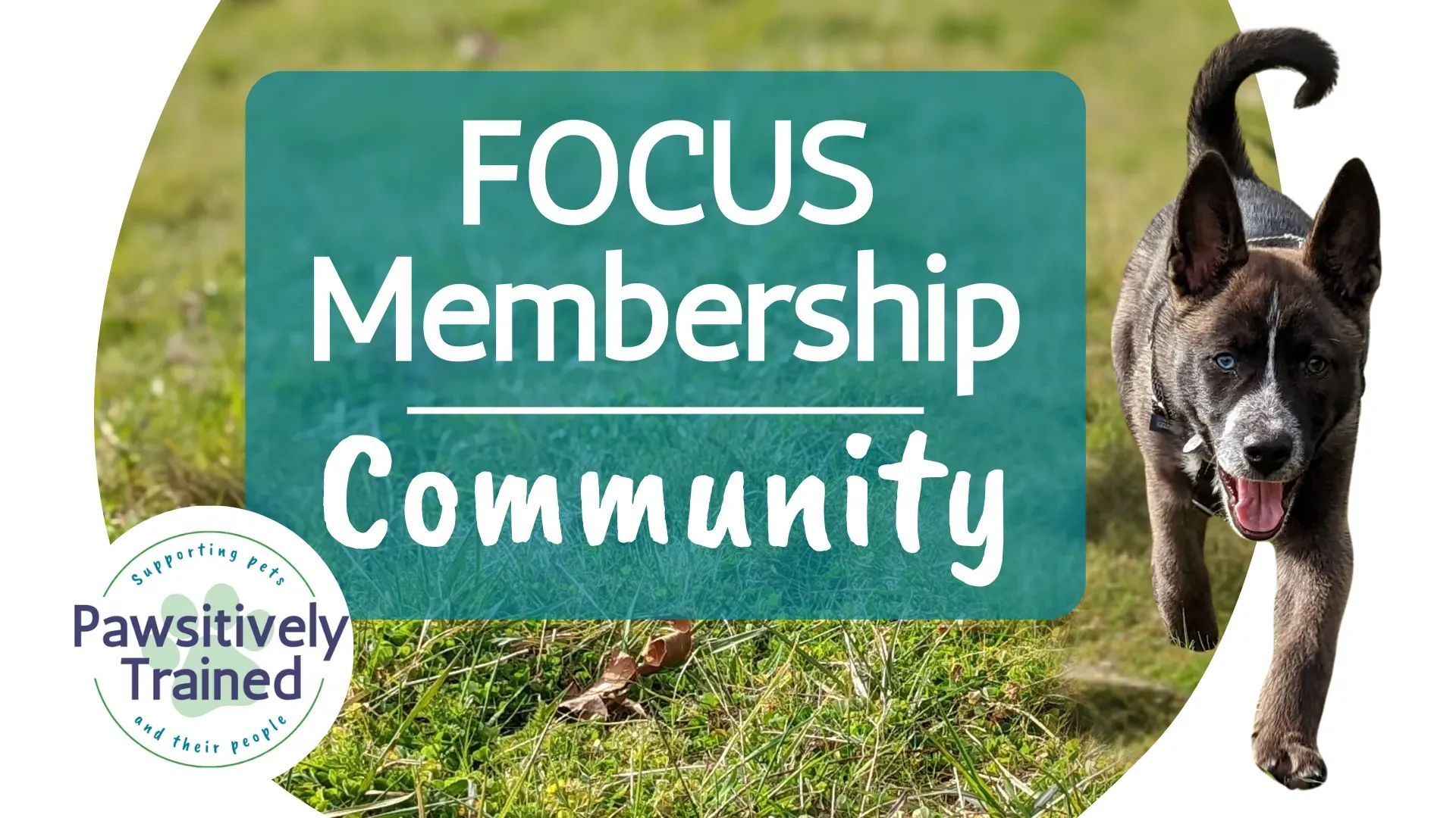 FOCUS Membership