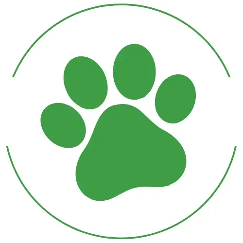 FOCUS Membership logo