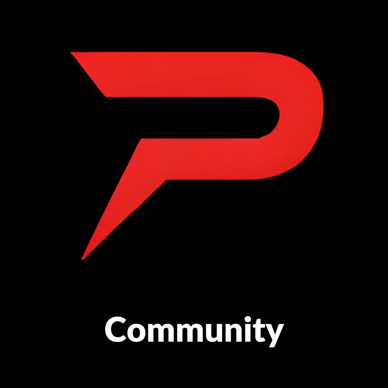 PaceLab Fast Bowling Community logo