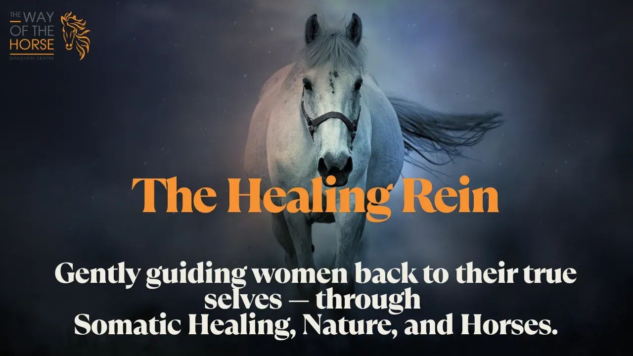 The Healing Rein