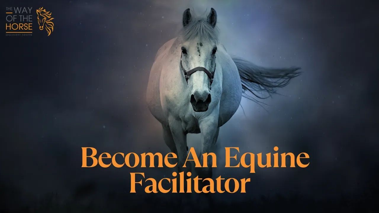 Become An Equine Facilitator
