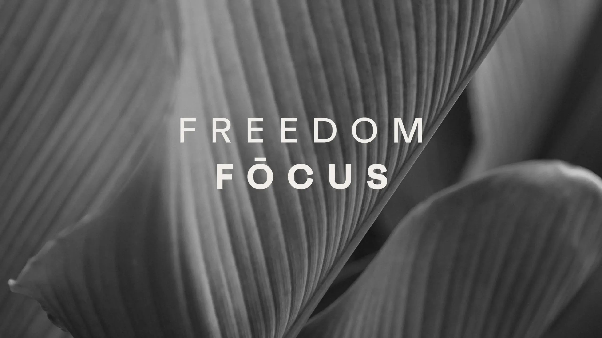 FREEDOM FOCUS
