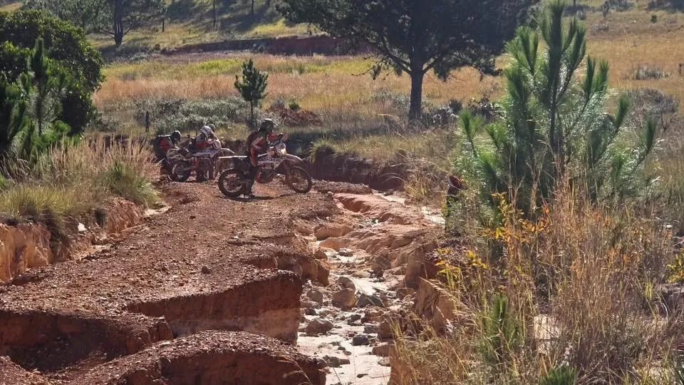 WeRoam Training Camps