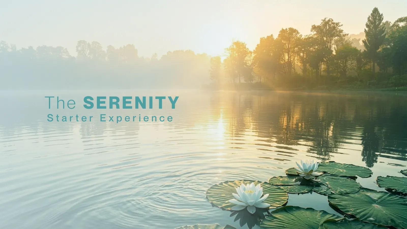 Serenity Circle (Beta)