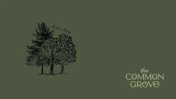 Trees