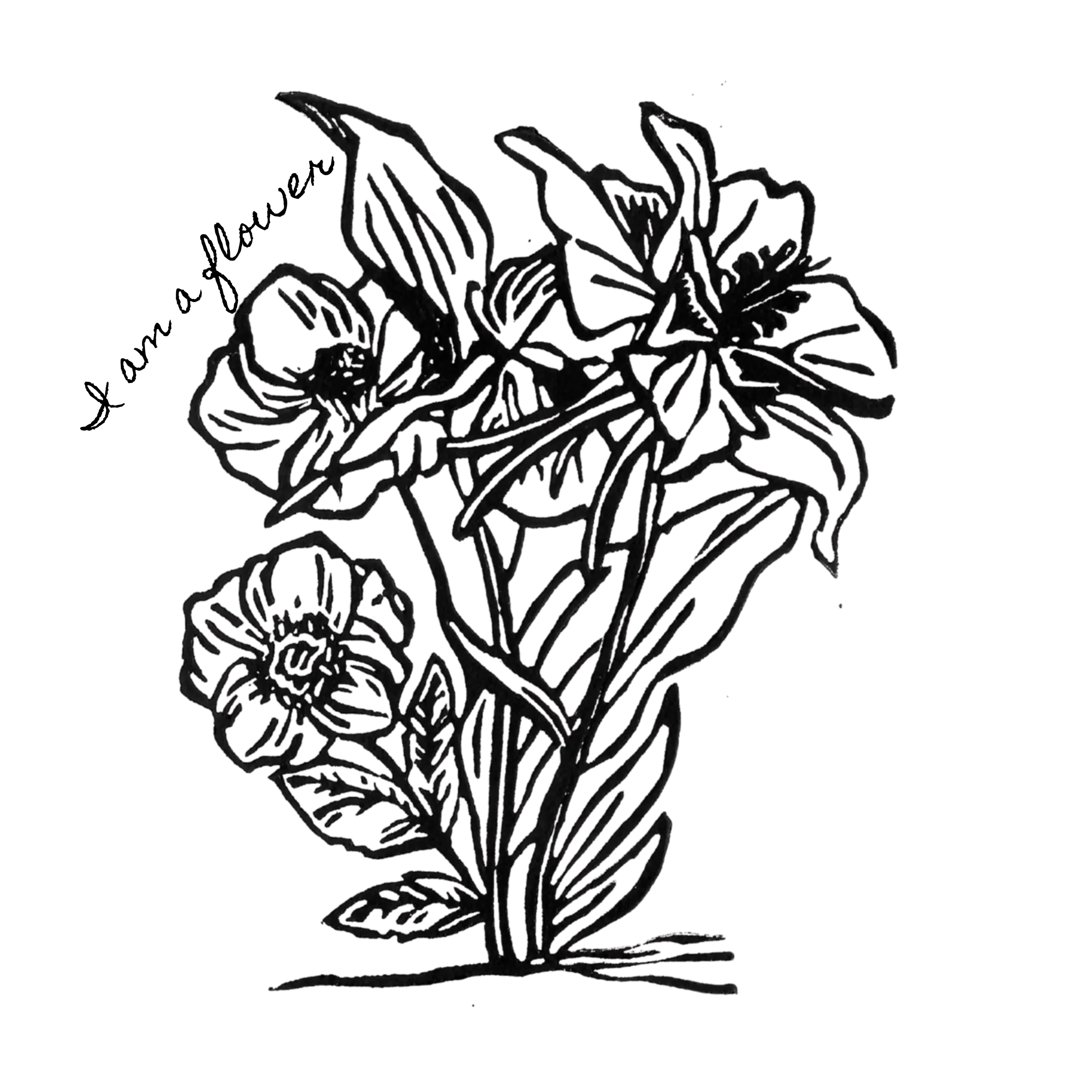 Flowers logo