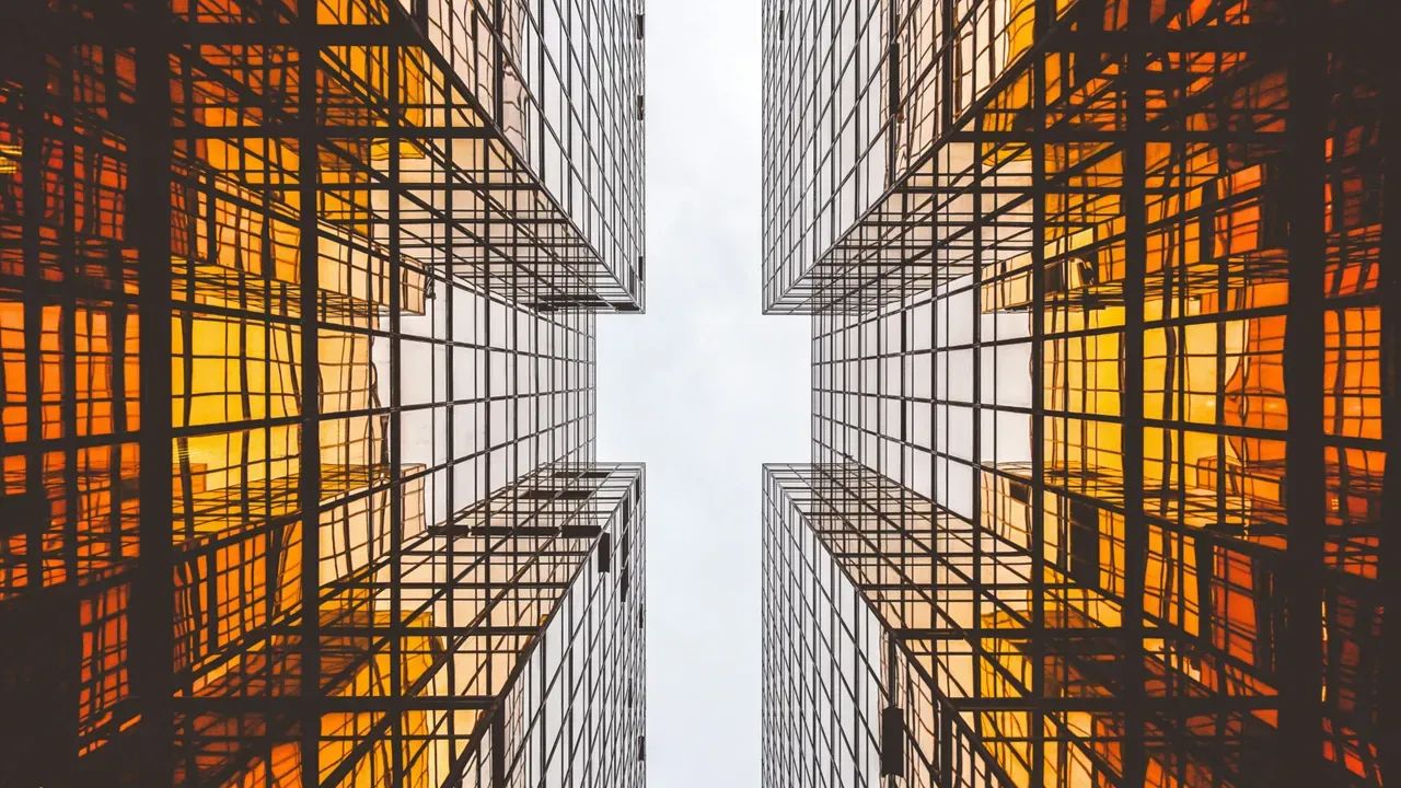Cognify Insight Network