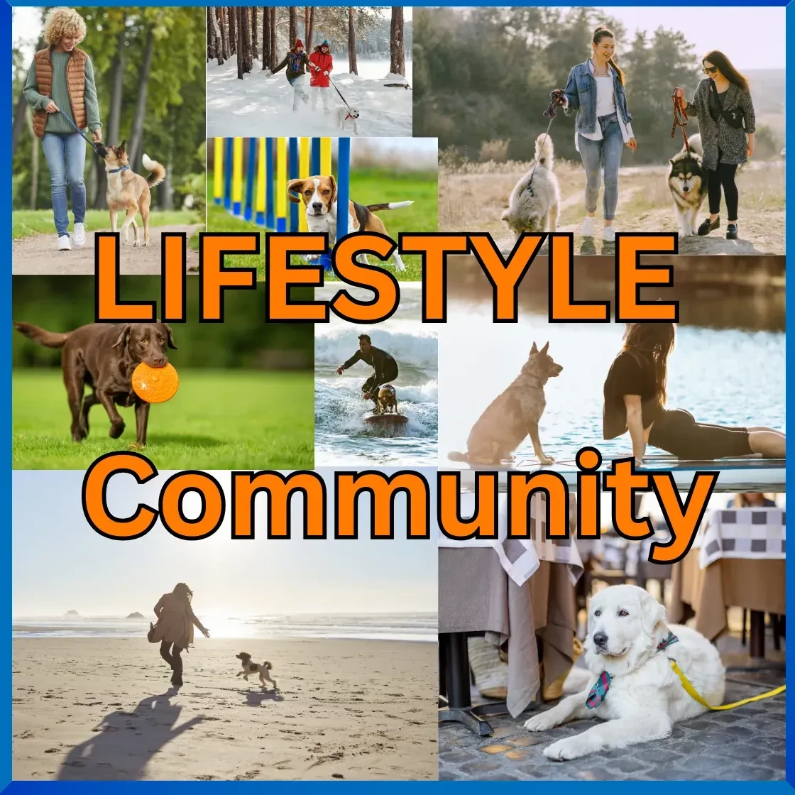 Lifestyle Community logo