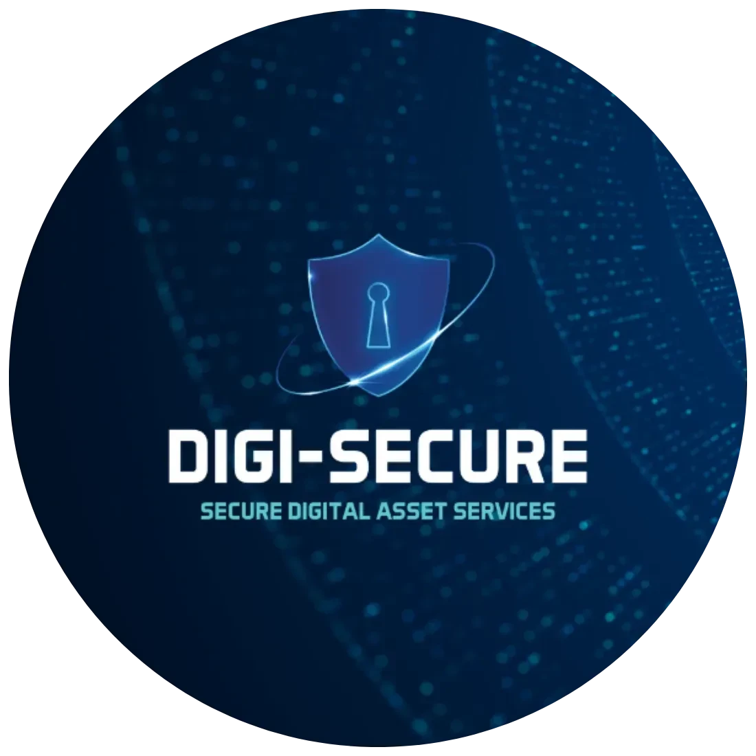 Digi-Secure Insiders logo